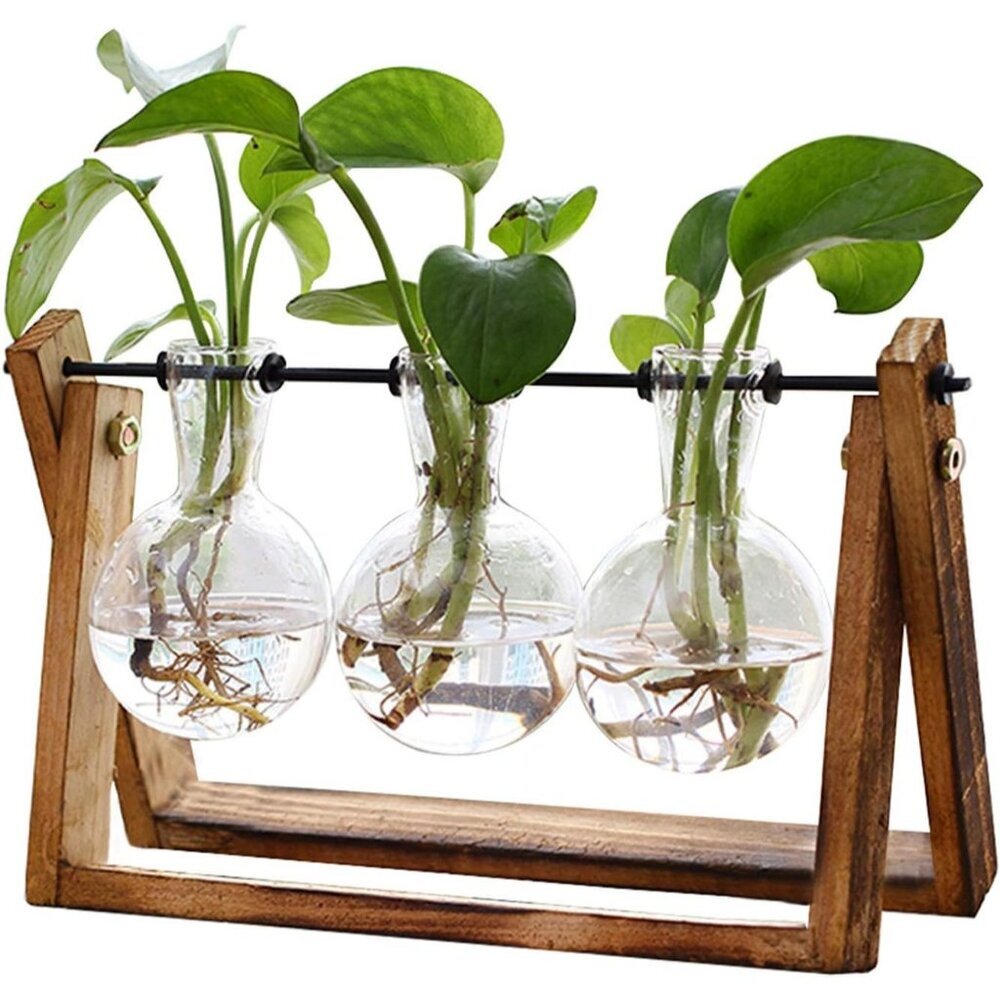 Plant Terrarium with Wooden Stand, Air Planter Bulb Glass Vase Metal Swivel